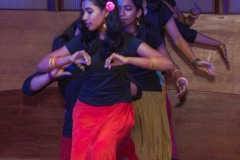 IMG_6222