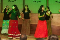 IMG_6230